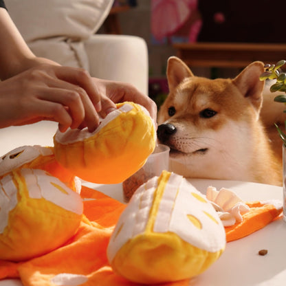 Hide and Seek Plush Dog Toys