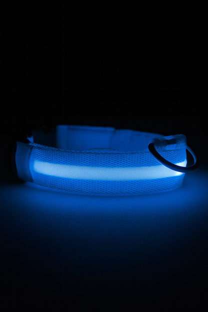 🔥LAST DAY 50% OFF 🔥 2025 Hottest! LED Dog Collar Light Rechargeable