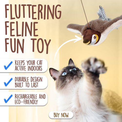 Chirping Cat Bird Toy