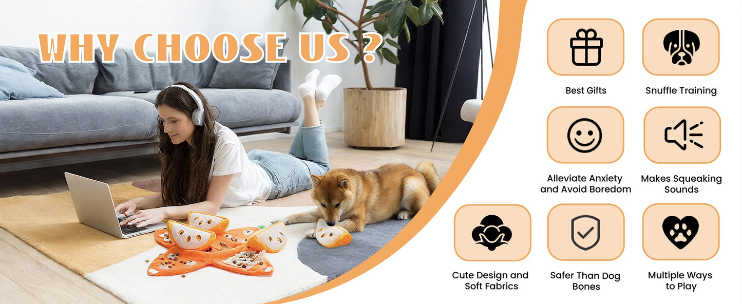 Hide and Seek Plush Dog Toys
