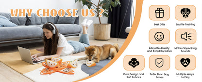 Hide and Seek Plush Dog Toys
