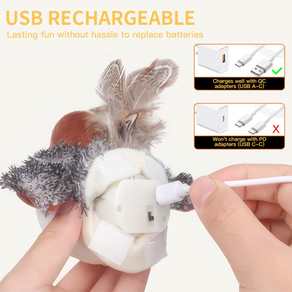 Chirping Cat Bird Toy