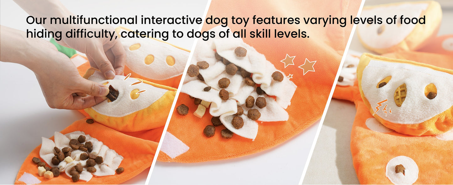 Hide and Seek Plush Dog Toys