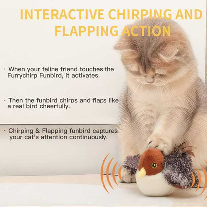 Chirping Cat Bird Toy