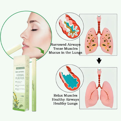 🔥 🔥🔥Final 3 Hours: 50% OFF Mullein Relaxation Stick – Soothes Lungs, Detoxifies, Freshens Breath