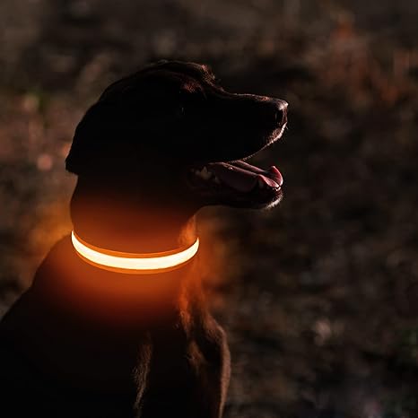 🔥LAST DAY 50% OFF 🔥 2025 Hottest! LED Dog Collar Light Rechargeable