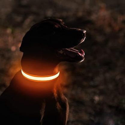 🔥LAST DAY 50% OFF 🔥 2025 Hottest! LED Dog Collar Light Rechargeable