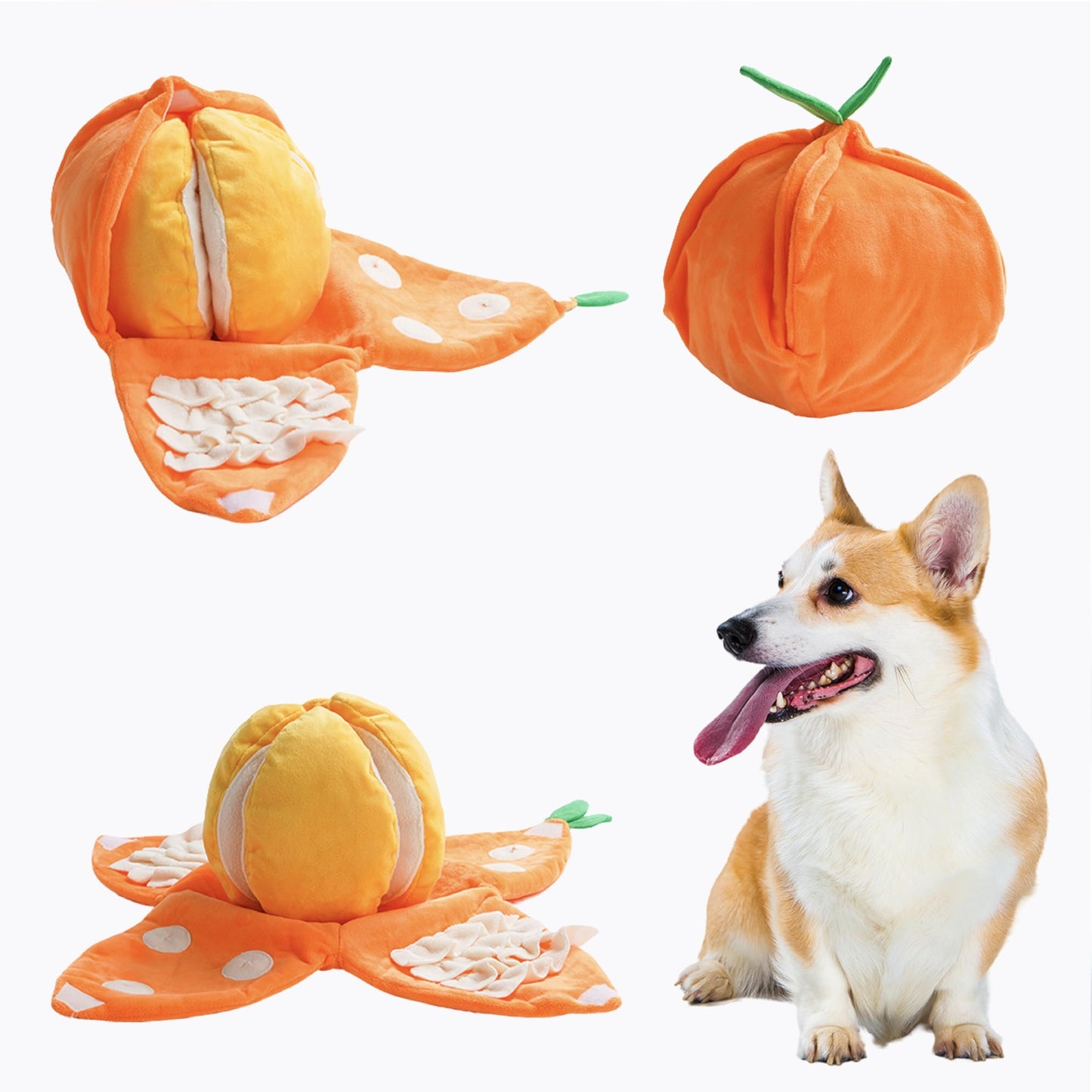 Hide and Seek Plush Dog Toys
