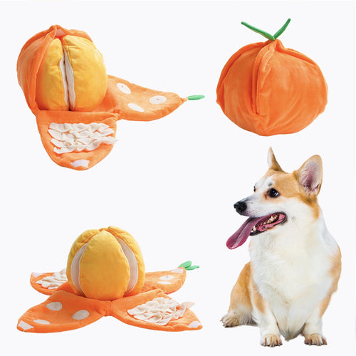 Hide and Seek Plush Dog Toys