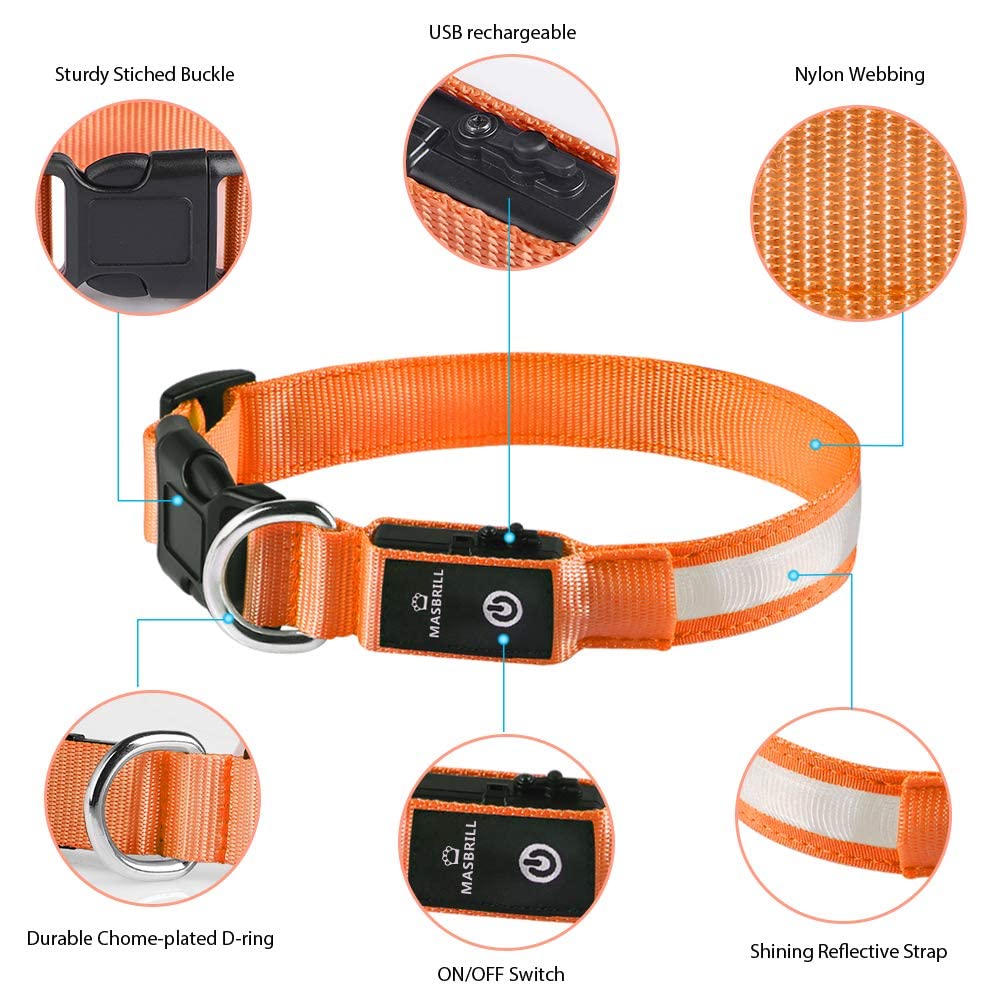 🔥LAST DAY 50% OFF 🔥 2025 Hottest! LED Dog Collar Light Rechargeable