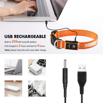 🔥LAST DAY 50% OFF 🔥 2025 Hottest! LED Dog Collar Light Rechargeable