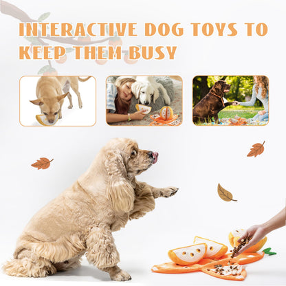 Hide and Seek Plush Dog Toys