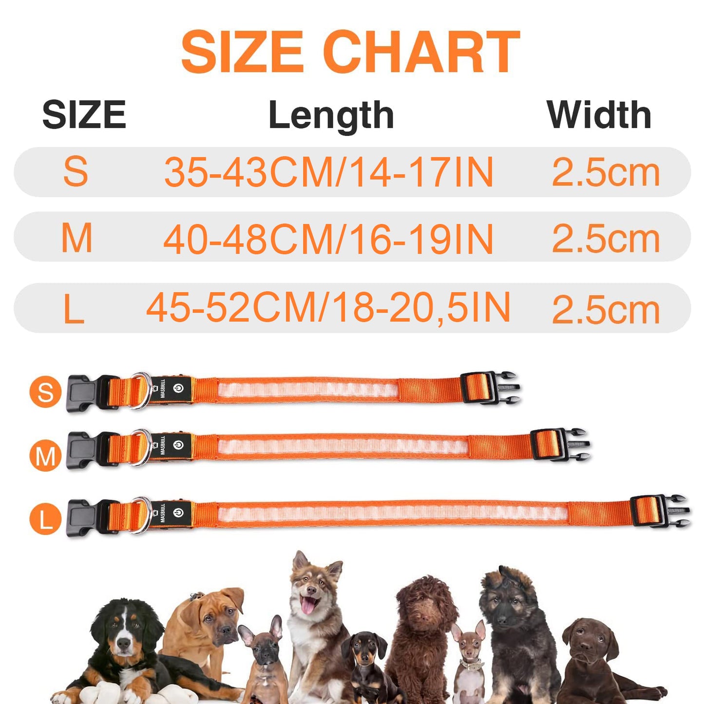 🔥LAST DAY 50% OFF 🔥 2025 Hottest! LED Dog Collar Light Rechargeable