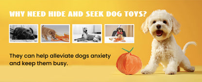 Hide and Seek Plush Dog Toys