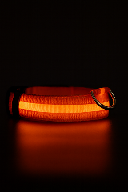 🔥LAST DAY 50% OFF 🔥 2025 Hottest! LED Dog Collar Light Rechargeable