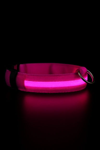 🔥LAST DAY 50% OFF 🔥 2025 Hottest! LED Dog Collar Light Rechargeable