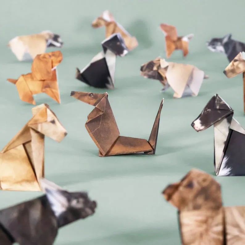 💖Last Day 49% OFF - DIY Paper Cats