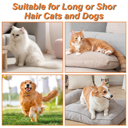Last Day Promotion 49% OFF✨- 🔥Pet Steam Brush