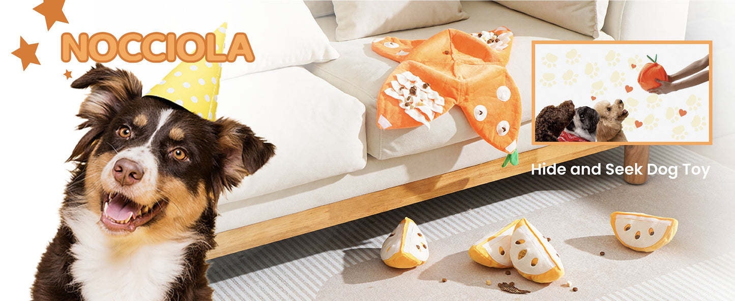 Hide and Seek Plush Dog Toys
