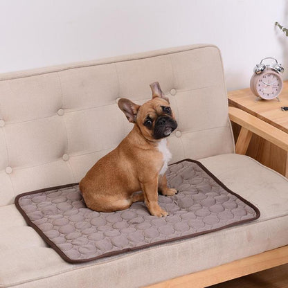 🔥LAST DAY 50% OFF- The Ultimate Cooling Pet Mat