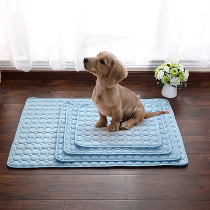 🔥LAST DAY 50% OFF- The Ultimate Cooling Pet Mat